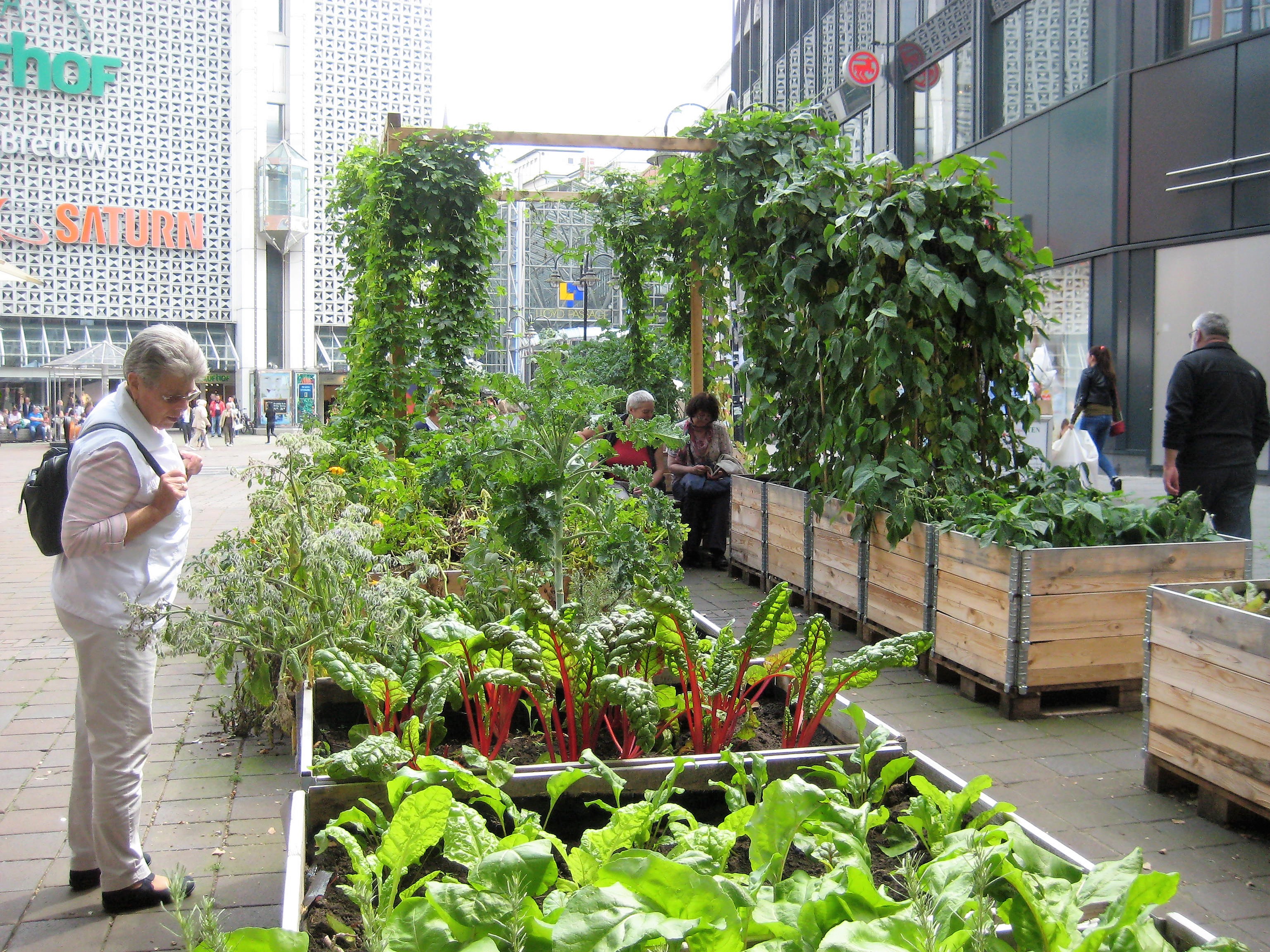 Harvesting Cities: An Urban Farming 101