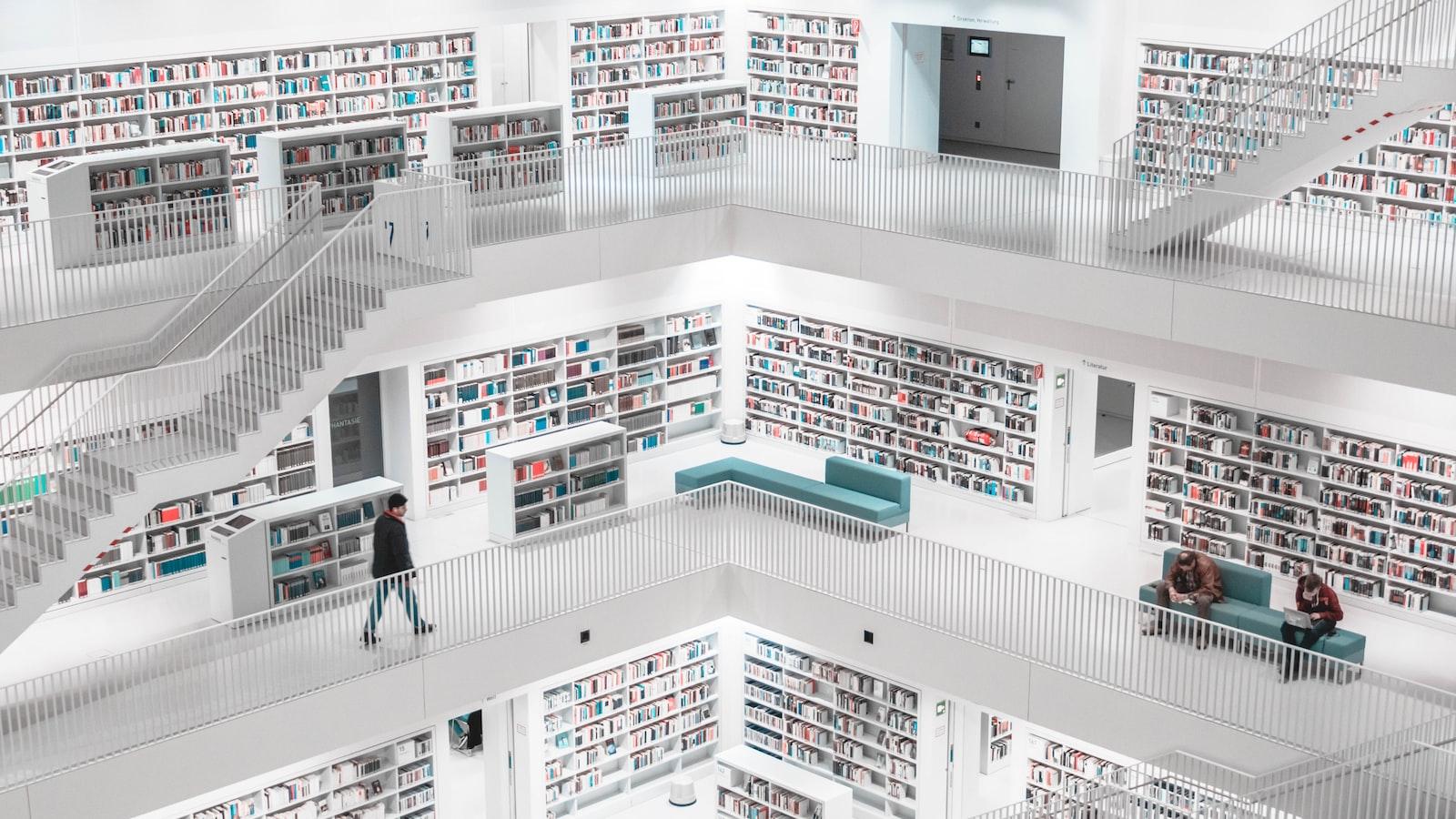 Libraries in the Digital Age: Adapting for the Future